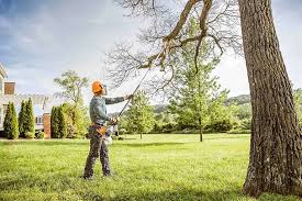 Best Tree Removal Services  in Westhampton Beach, NY